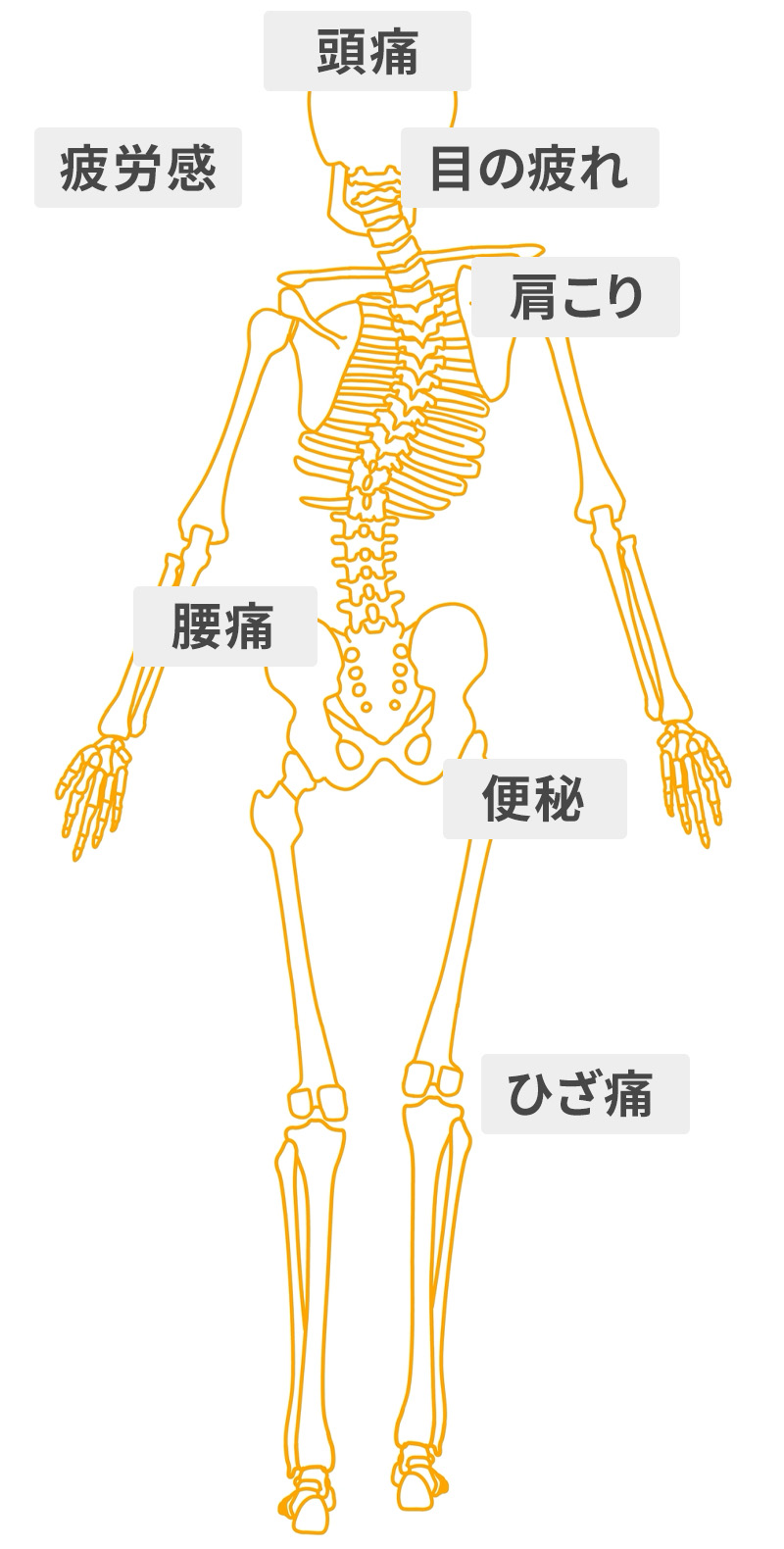 骨格や骨盤のゆがみ
